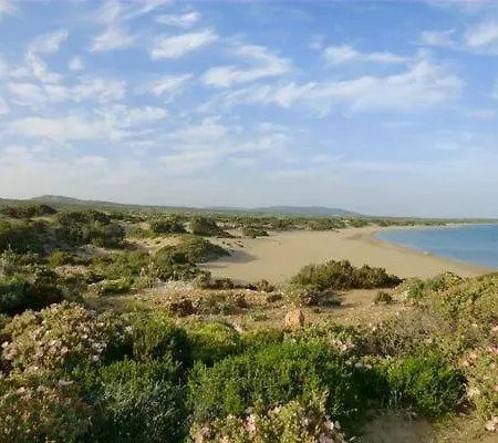 Chevalier קיוטארי